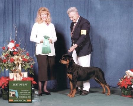Best Puppy - Gulfstream Rottweiler Club Specialty